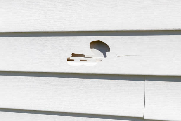 Best Stucco Siding  in Bridgewater Center, NJ