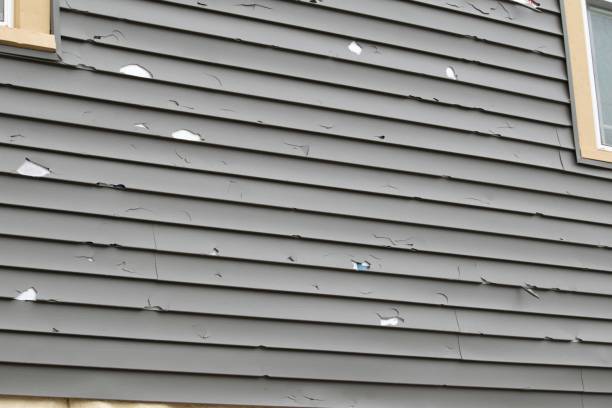 Best Siding Painting and Refinishing  in Bridgewater Center, NJ