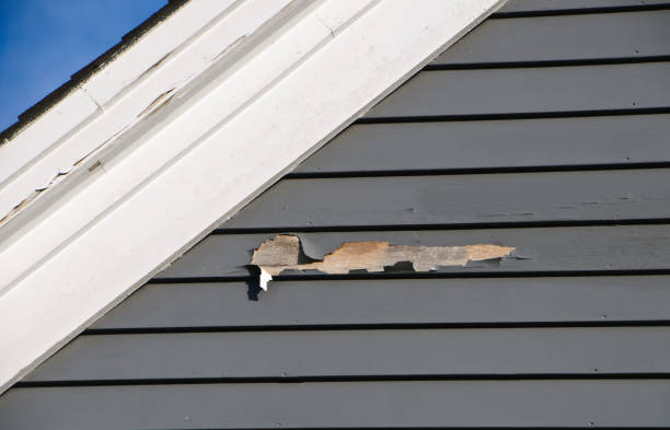 Best Wood Siding Installation  in Bridgewater Center, NJ