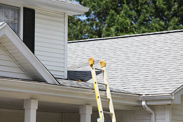 Best Storm Damage Siding Repair  in Bridgewater Center, NJ